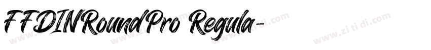 FFDINRoundPro Regula字体转换